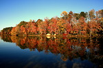 Free Stock Photo: Fall landscape reflecting on a lake