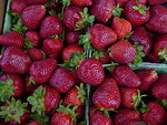 Free Stock Photo: A basket of strawberries