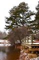 Free Stock Photo: A snow covered dock by a lake