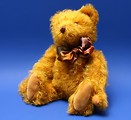 Free Stock Photo: A teddy bear isolated on a blue background