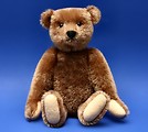 Free Stock Photo: A teddy bear isolated on a blue background