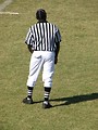 Free Stock Photo: A football referee on a field