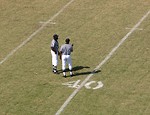Free Stock Photo: Football referees on a field