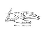 Free Stock Photo: Illustration of a bandage wrapped on a hand