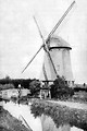Free Stock Photo: A Dutch windmill