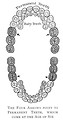 Free Stock Photo: An illustration of sets of teeth