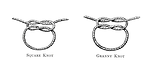 Free Stock Photo: Vintage illustration of knots