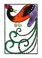 Free Stock Photo: Vintage illustration of a peacock