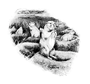 Free Stock Photo: Vintage illustration of prairie dogs