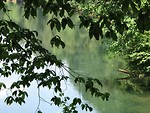 Free Stock Photo: A still river.