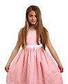 Free Stock Photo: A beautiful young girl in a pink dress on a white background
