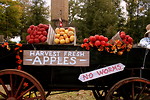 Free Stock Photo: An apple cart in autumn