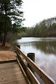 Free Stock Photo: A wooden fence by a lake