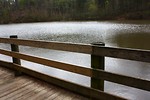 Free Stock Photo: A wooden fence by a lake