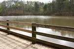 Free Stock Photo: A wooden fence by a lake