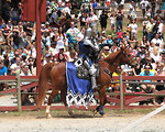 Free Stock Photo: A knight on a horse at the 2011 Georgia Renaissance Festival