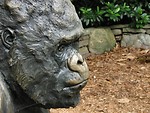 Free Stock Photo: Gorilla statue portrait