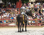 Free Stock Photo: A knight on a horse at the 2011 Georgia Renaissance Festival