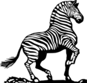 Free Stock Photo: Illustration of a zebra
