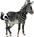 Free Stock Photo: Illustration of a zebra