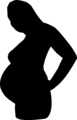 Free Stock Photo: Illustration of a pregnant woman silhouette