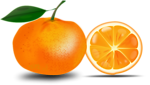 Free Stock Photo: Illustration of an orange slice