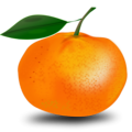 Free Stock Photo: Illustration of an orange