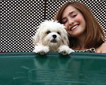 Free Stock Photo: A beautiful young girl playing on a playground with a dog