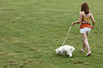 Free Stock Photo: A cute young girl walking her dog on the grass