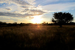 Free Stock Photo: A landscape with a setting sun