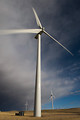 Free Stock Photo: Wind turbines in a field