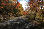 Free Stock Photo: A mountain road on a fall afternoon