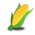 Free Stock Photo: Illustration of an ear of corn