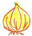 Free Stock Photo: Illustration of an onion