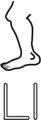 Free Stock Photo: Illustration of the letter L with a leg
