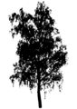 Free Stock Photo: Illustration of a tree silhouette