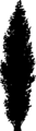 Free Stock Photo: Illustration of a tree silhouette