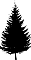Free Stock Photo: Illustration of a tree silhouette