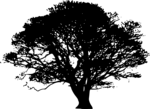 Free Stock Photo: Illustration of a tree silhouette