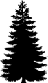 Free Stock Photo: Illustration of a tree silhouette