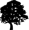 Free Stock Photo: Illustration of a tree silhouette