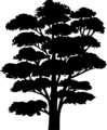 Free Stock Photo: Illustration of a tree silhouette