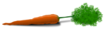Free Stock Photo: Illustration of a carrot