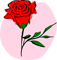 Free Stock Photo: Illustration of a red rose