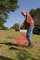 Free Stock Photo: A woman raking leaves on her lawn