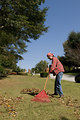 Free Stock Photo: A woman raking leaves on her lawn