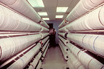 Free Stock Photo: Rows of data tapes in a storage room