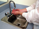 Free Stock Photo: A lab technician washing her hands