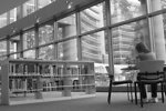 Free Stock Photo: A woman sitting in a library