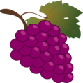 Free Stock Photo: Illustration of a bunch of grapes